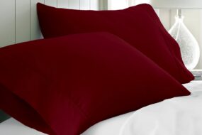 SET OF 2 SOLID PILLOWCASES 100% EGYPTIAN COTTON 600 THREAD COUNT